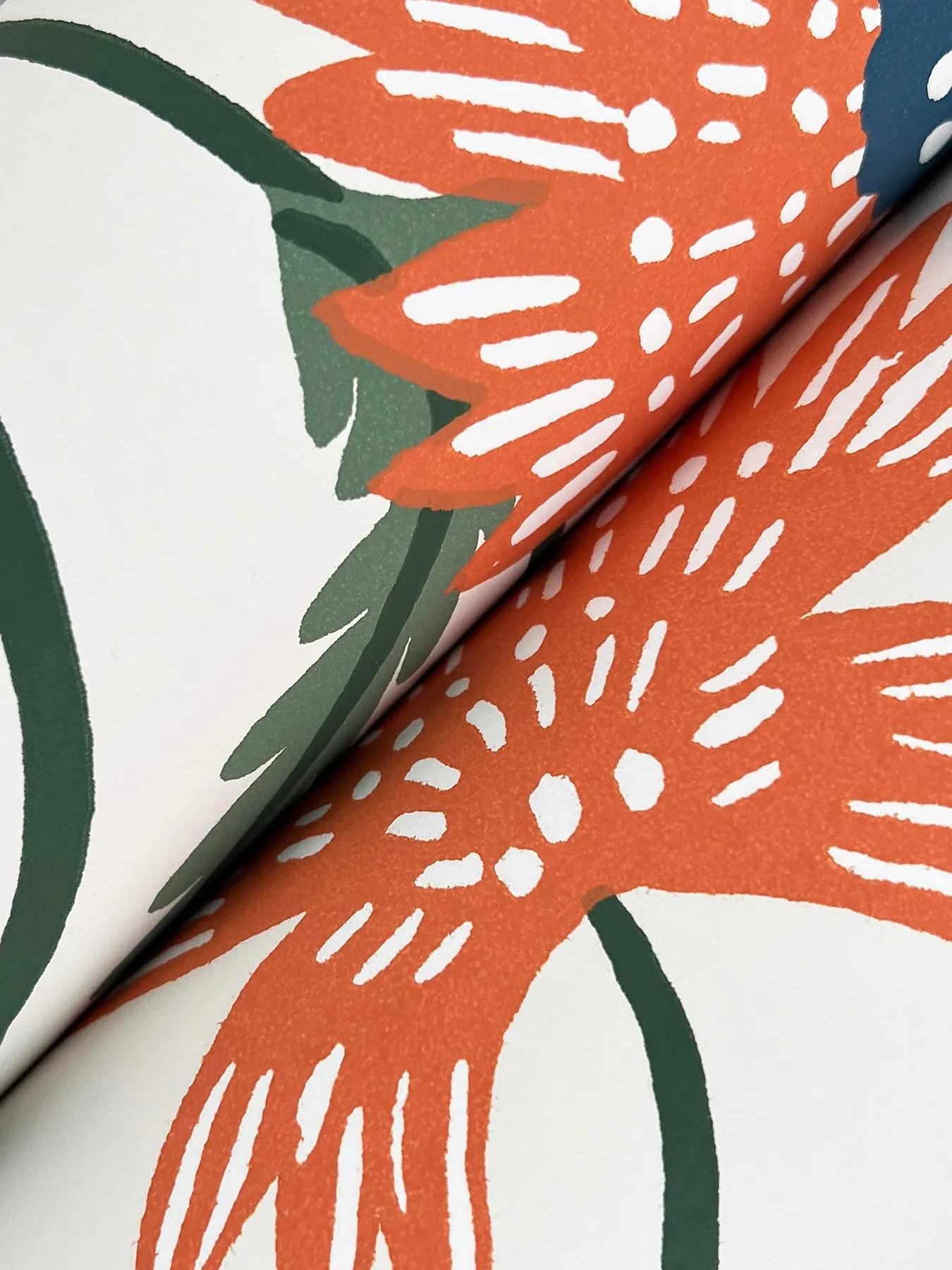 York Wallcoverings Aster Coral Wallpaper | Wallpaper Twins York Wallcoverings Aster Coral Wallpaper - SKU RF7433