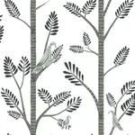 York Wallcoverings Aviary Branch Grey Peel & Stick Wallpaper | Wallpaper Twins York Wallcoverings Aviary Branch Grey Peel & Stick Wallpaper - SKU PSW1238RL