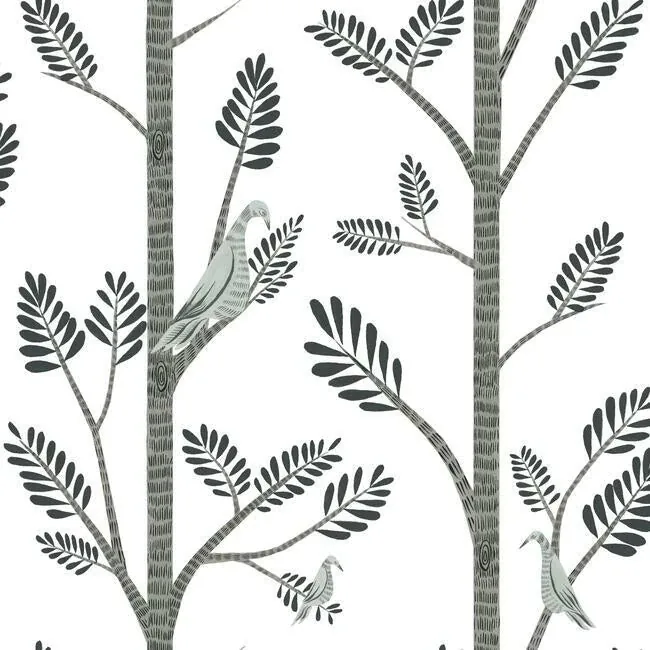 York Wallcoverings Aviary Branch Grey Peel & Stick Wallpaper - SKU PSW1238RL