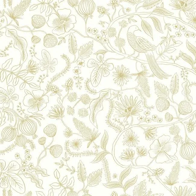 PSW1309RL | Aviary Off White & Gold Peel & Stick Wallpaper