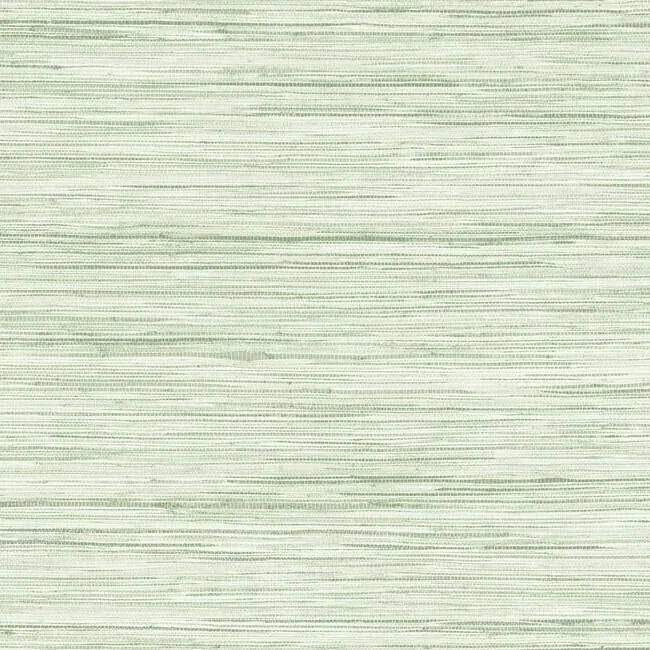 CV4413 | Bahiagrass Green Wallpaper