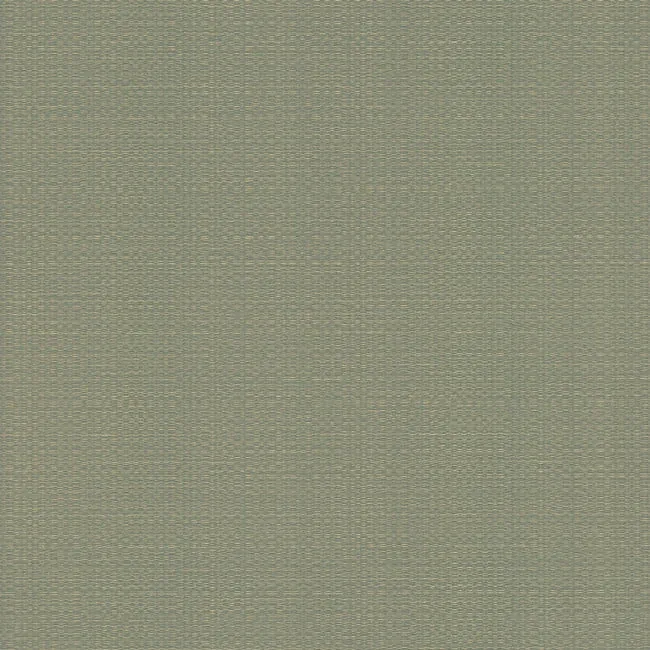 SI24922 | Bali Basketweave Sage Wallpaper