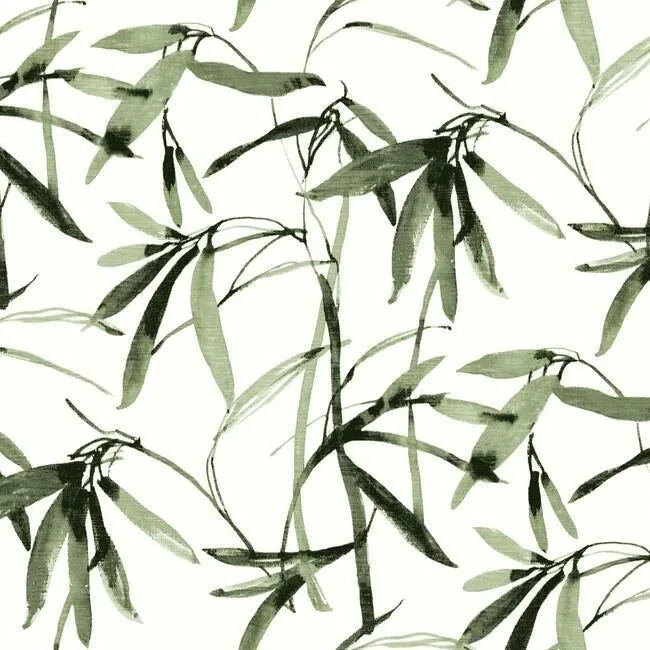 York Wallcoverings Bamboo Ink Green & Black Wallpaper - SKU BW3842