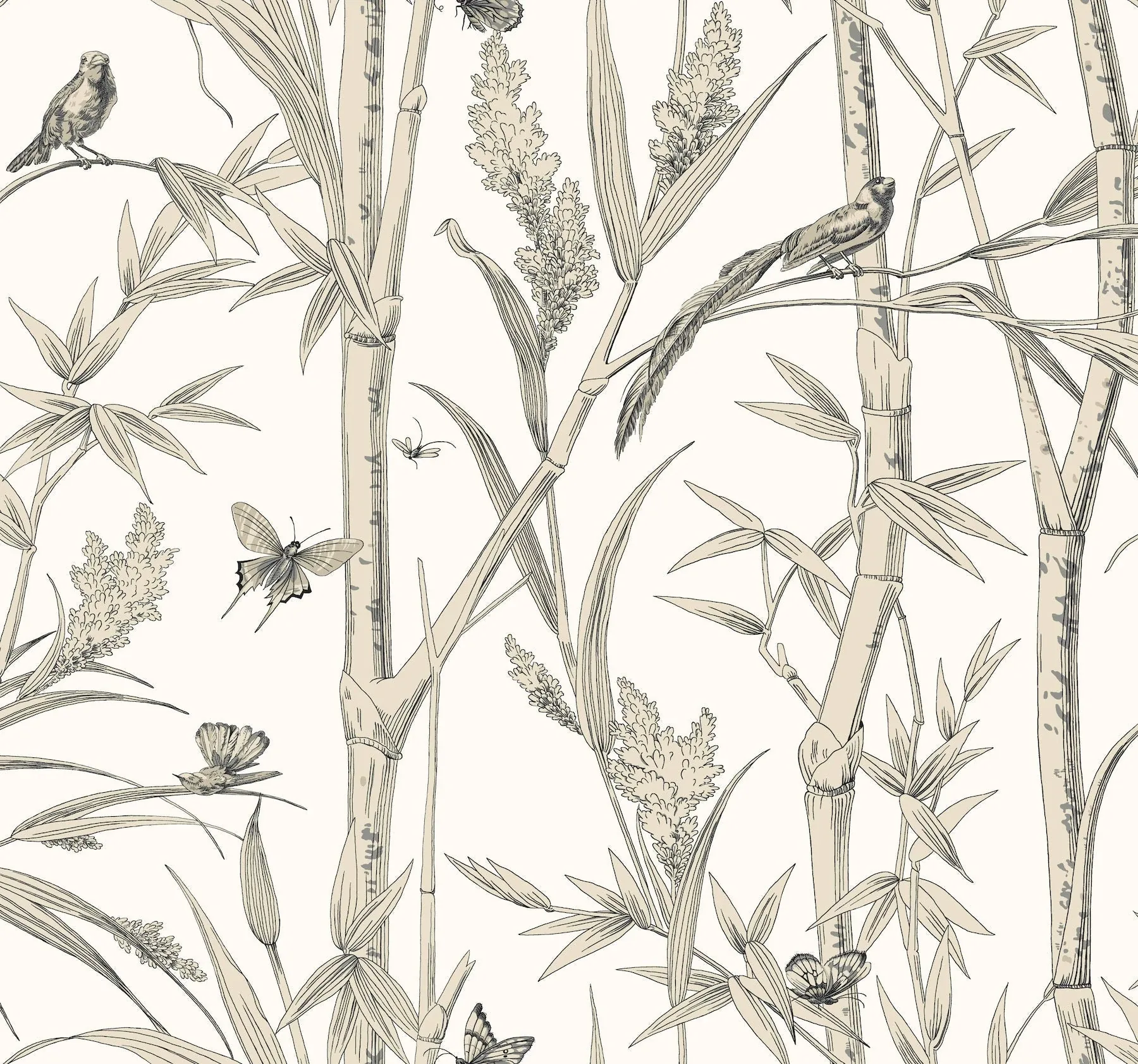 York Wallcoverings Bambou Toile White Wallpaper - SKU RT7836