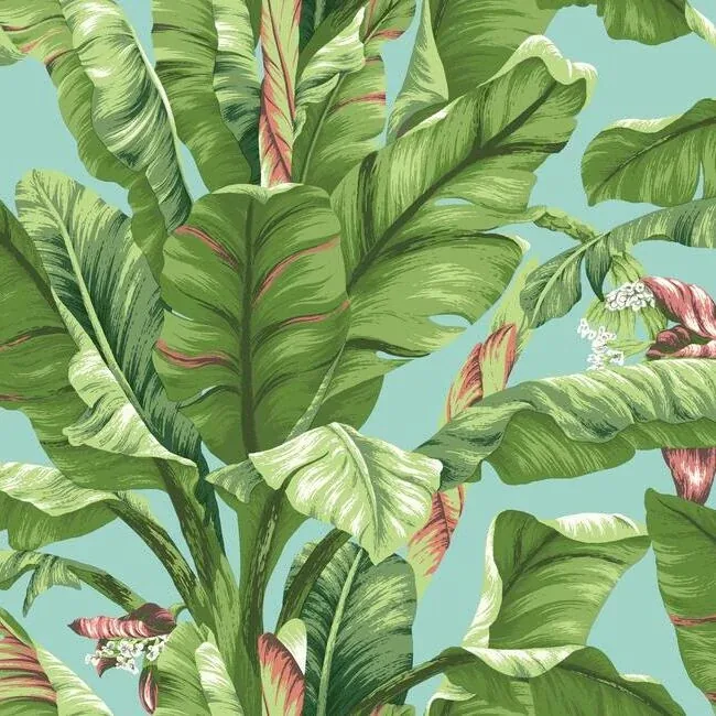 AT7070 | Banana Leaf Aqua & White Wallpaper