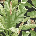 York Wallcoverings Banana Leaf Black & Green Peel & Stick Wallpaper | Wallpaper Twins York Wallcoverings Banana Leaf Black & Green Peel & Stick Wallpaper - SKU PSW1035RL