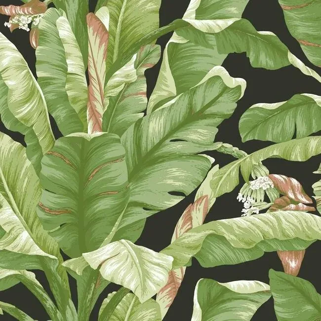 PSW1035RL | Banana Leaf Black & Green Peel & Stick Wallpaper