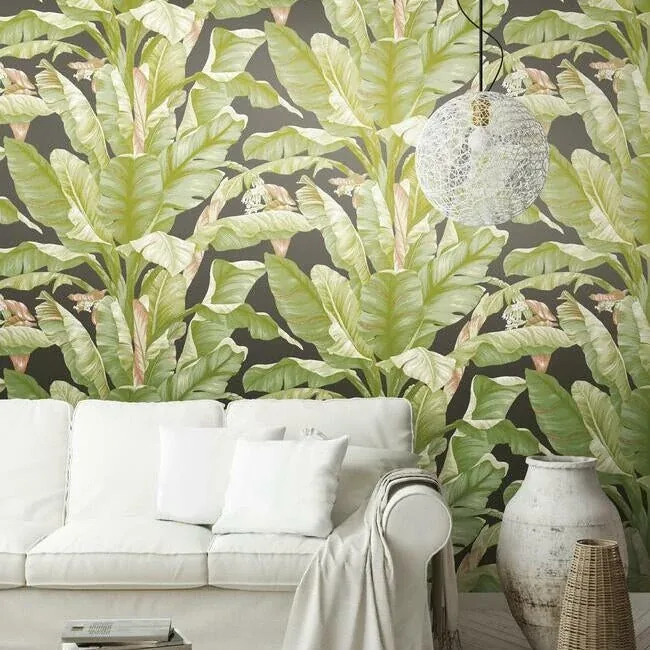 York Wallcoverings Banana Leaf Black & Green Peel & Stick Wallpaper | Wallpaper Twins York Wallcoverings Banana Leaf Black & Green Peel & Stick Wallpaper - SKU PSW1035RL