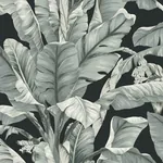 York Wallcoverings Banana Leaf Black & White Wallpaper - SKU BW3971