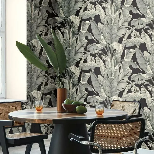 York Wallcoverings Banana Leaf Black & White Wallpaper - SKU BW3971