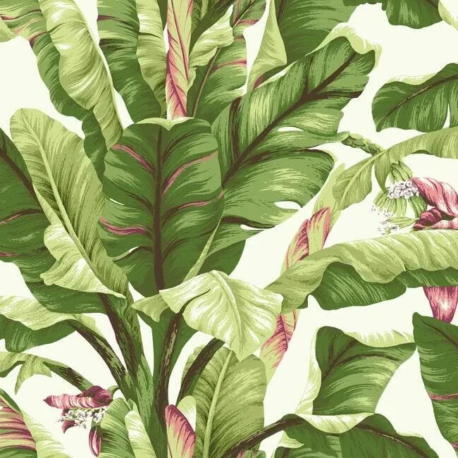 AT7067 | Banana Leaf Dark Brown & Pink Wallpaper