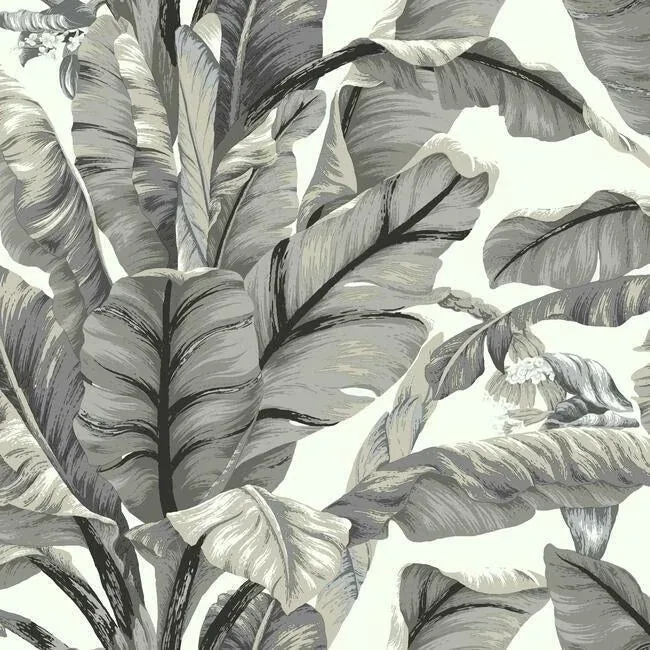 PSW1037RL | Banana Leaf White & Black Peel & Stick Wallpaper