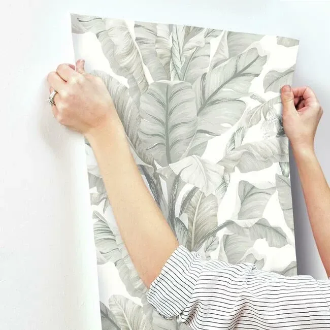 York Wallcoverings Banana Leaf White & Cream Wallpaper - SKU BW3972