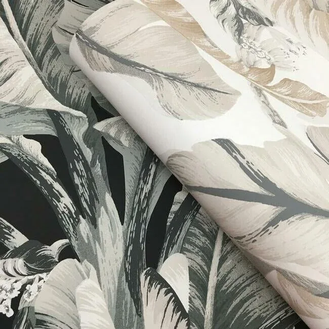 York Wallcoverings Banana Leaf White & Cream Wallpaper - SKU BW3972