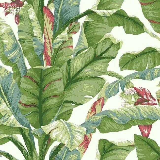York Wallcoverings Banana Leaf White & Green Peel & Stick Wallpaper - SKU PSW1034RL