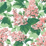 York Wallcoverings Bar Harbor Southampton Pink Peel & Stick Wallpaper | Wallpaper Twins York Wallcoverings Bar Harbor Southampton Pink Peel & Stick Wallpaper - SKU PSW1397RL