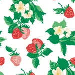 York Wallcoverings Berry Nice Berry Pink Peel & Stick Wallpaper | Wallpaper Twins York Wallcoverings Berry Nice Berry Pink Peel & Stick Wallpaper - SKU PSW1395RL