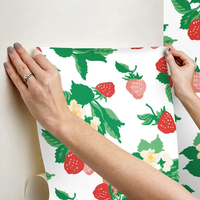 York Wallcoverings Berry Nice Berry Pink Peel & Stick Wallpaper | Wallpaper Twins York Wallcoverings Berry Nice Berry Pink Peel & Stick Wallpaper - SKU PSW1395RL