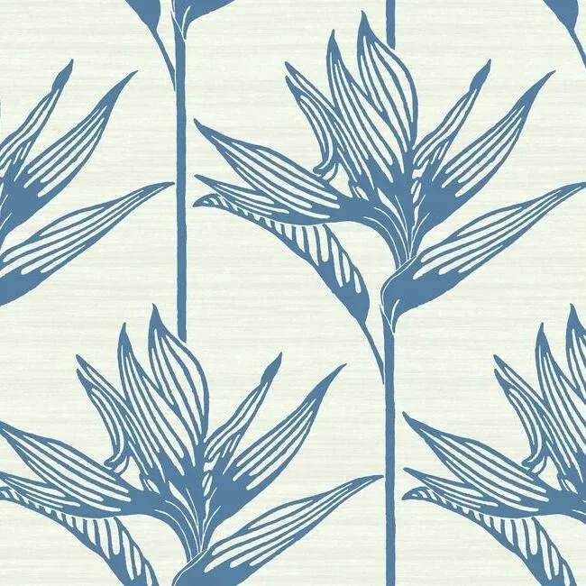 TC2671 | Bird of Paradise Blue Wallpaper