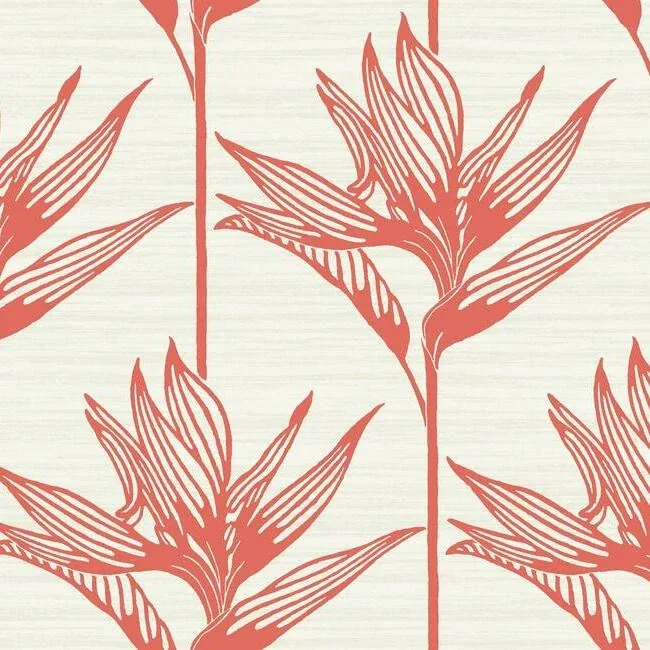 York Wallcoverings Bird of Paradise Coral Wallpaper - SKU TC2676
