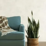 York Wallcoverings Blanc De Blanc White Wallpaper | Wallpaper Twins York Wallcoverings Blanc De Blanc White Wallpaper - SKU ME1545