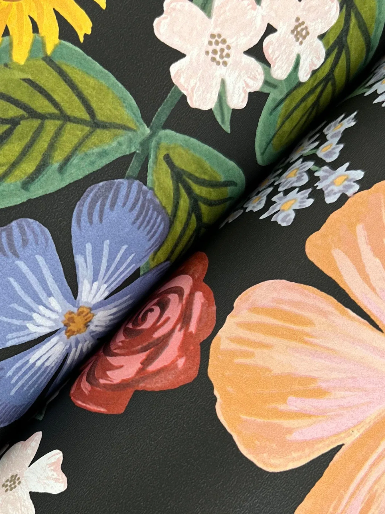 York Wallcoverings Blossom Black Wallpaper - SKU RF7491