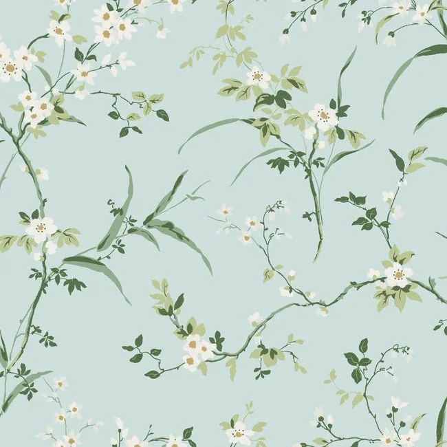 BL1742 | Blossom Branches Spa Blue Wallpaper