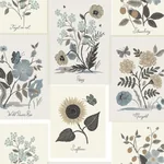 York Wallcoverings Botanical Prints Beige & Black Wallpaper - SKU RP7336