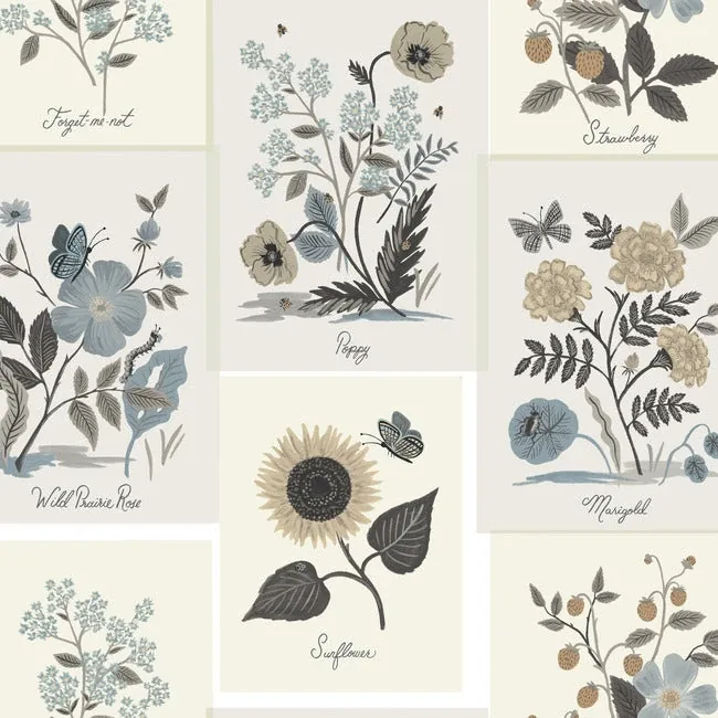 York Wallcoverings Botanical Prints Beige & Black Wallpaper - SKU RP7336