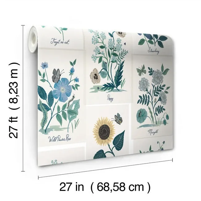 York Wallcoverings Botanical Prints White & Blue Wallpaper - SKU RP7335