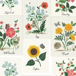 York Wallcoverings Botanical Prints White & Pink Wallpaper - SKU RP7334