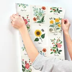 York Wallcoverings Botanical Prints White & Pink Wallpaper - SKU RP7334