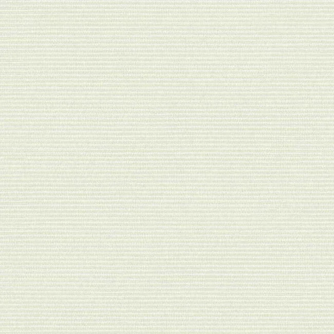 TC2664 | Boucle Yellow Wallpaper