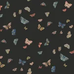 York Wallcoverings Butterfly House Black Wallpaper - SKU RF7413