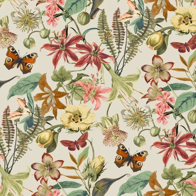 BL1724 | Butterfly House Light Taupe & Coral Wallpaper