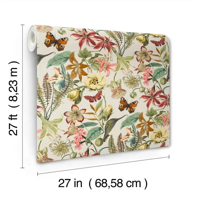 York Wallcoverings Butterfly House Light Taupe & Coral Wallpaper - SKU BL1724