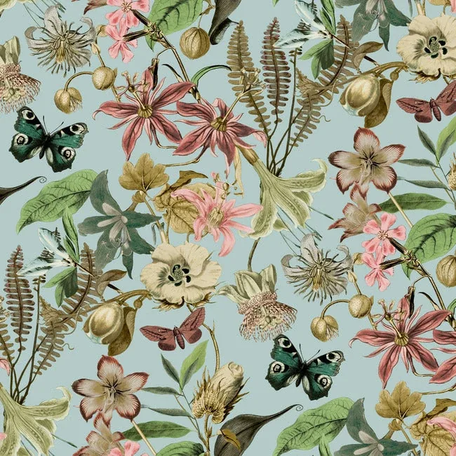 BL1725 | Butterfly House Sky Blue Wallpaper