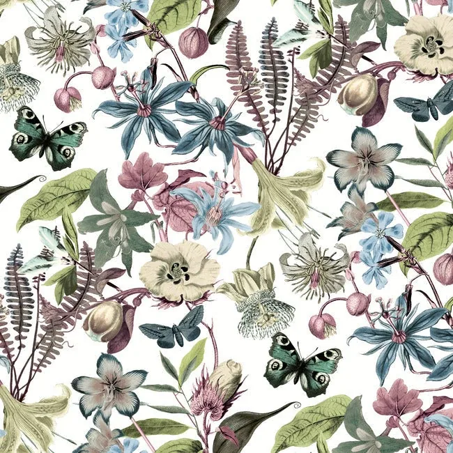 BL1721 | Butterfly House White & Fuchsia Wallpaper
