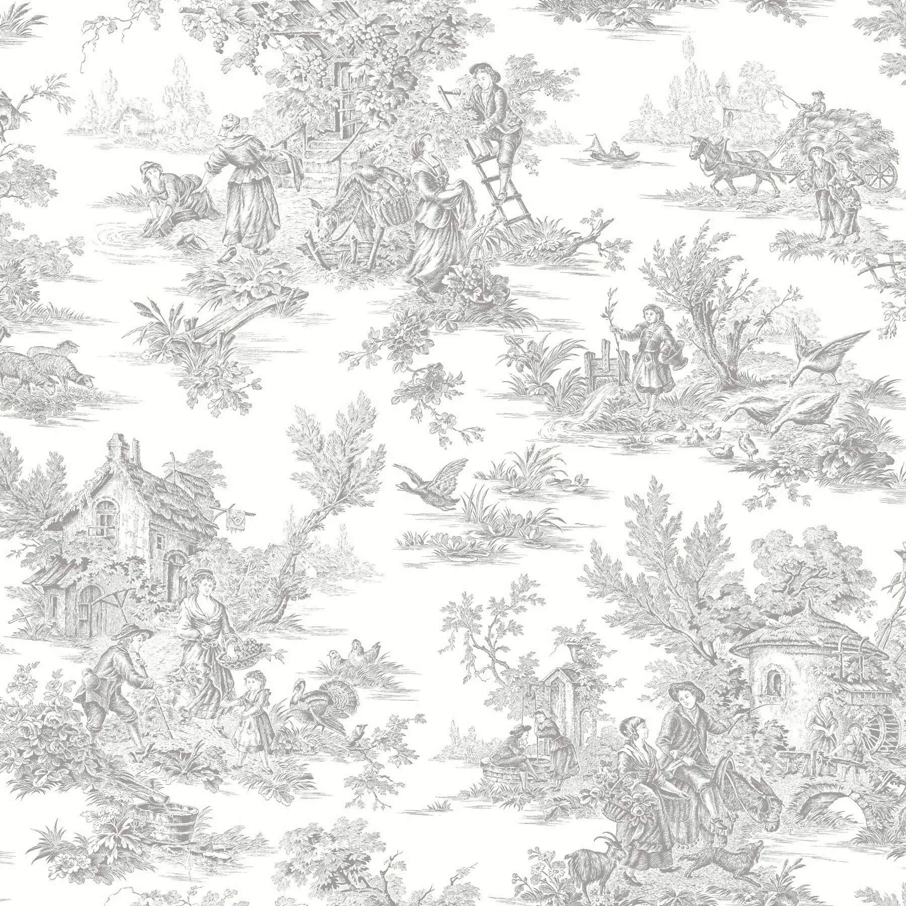 RT7940 | Campagne Toile Grey Wallpaper
