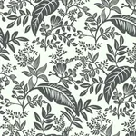 York Wallcoverings Canopy Black & White Wallpaper | Wallpaper Twins York Wallcoverings Canopy Black & White Wallpaper - SKU RI5136