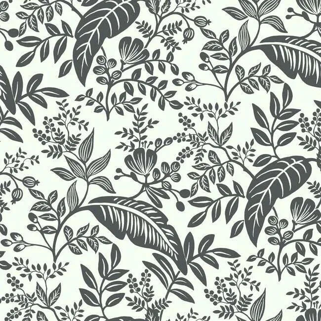 York Wallcoverings Canopy Black & White Wallpaper - SKU RI5136