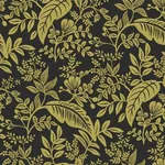 York Wallcoverings Canopy Gold & Black Wallpaper | Wallpaper Twins York Wallcoverings Canopy Gold & Black Wallpaper - SKU RI5139