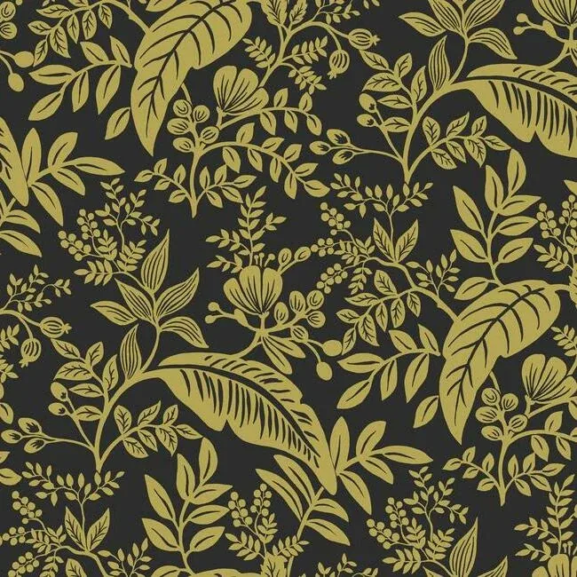 RI5139 | Canopy Gold & Black Wallpaper