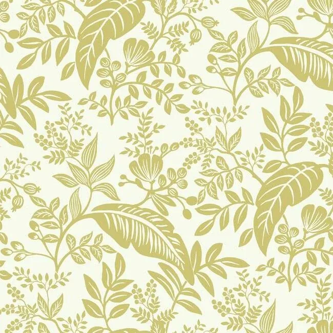 RI5138 | Canopy Gold & White Wallpaper