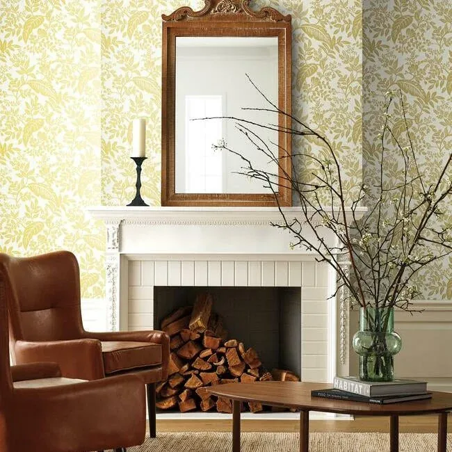 York Wallcoverings Canopy Gold & White Wallpaper | Wallpaper Twins York Wallcoverings Canopy Gold & White Wallpaper - SKU RI5138