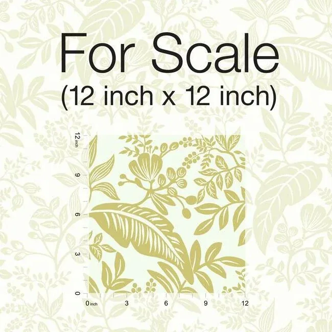 York Wallcoverings Canopy Gold & White Wallpaper | Wallpaper Twins York Wallcoverings Canopy Gold & White Wallpaper - SKU RI5138