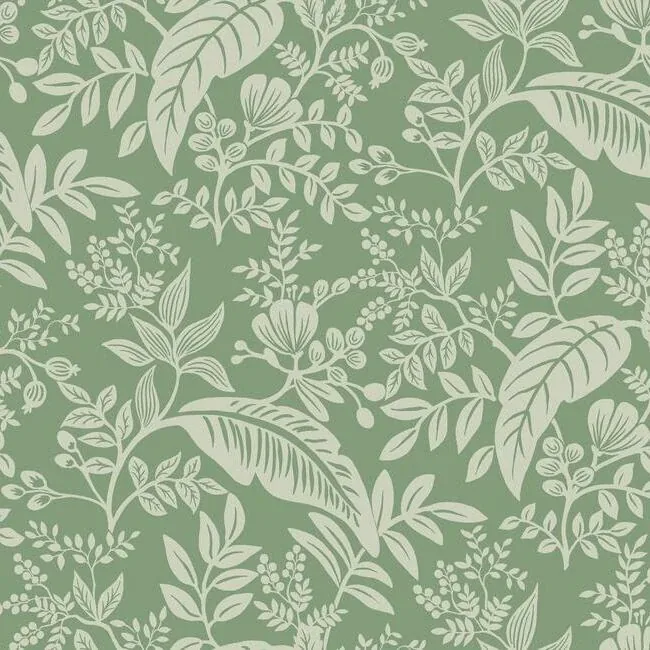 RI5140 | Canopy Sage Wallpaper