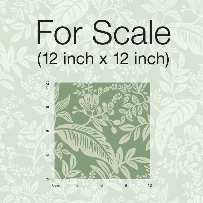 York Wallcoverings Canopy Sage Wallpaper - SKU RI5140