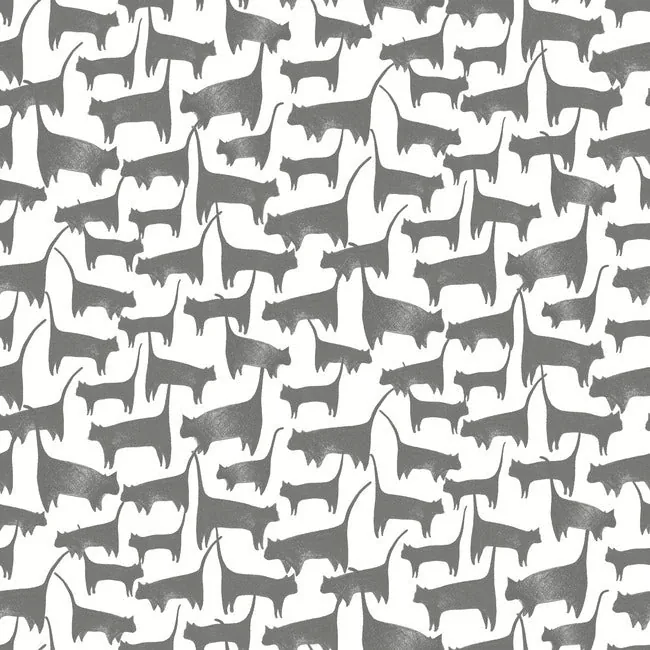 PSW1340RL | Cat Tails Black Peel & Stick Wallpaper