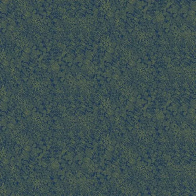 RI5113 | Champagne Dots Gold & Navy Wallpaper